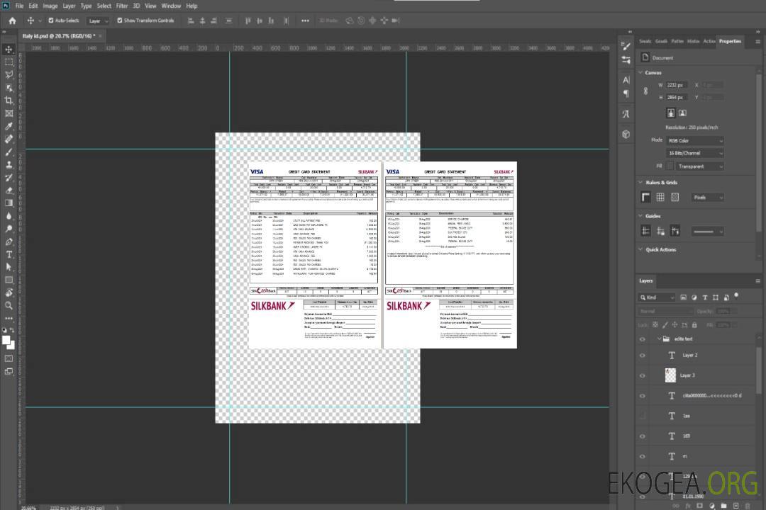 Modèle Word et PDF de déclaration de la Pakistan Silkbank, 2 pages template Modèle Word et PDF de déclaration de la Pakistan Silkbank, 2 pages template